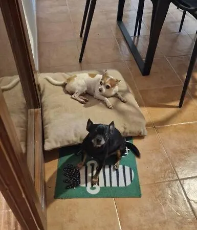 Villa Naay Playa Blanca