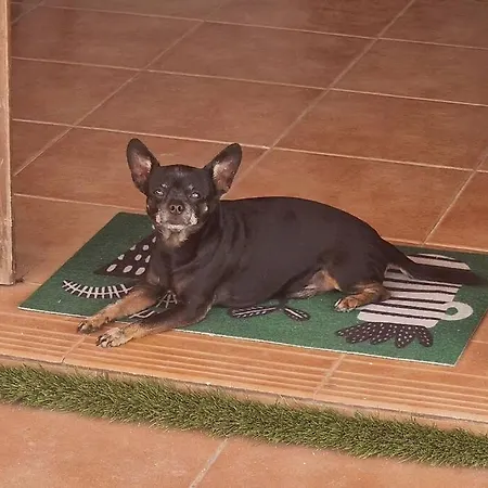 Naay Villa Playa Blanca