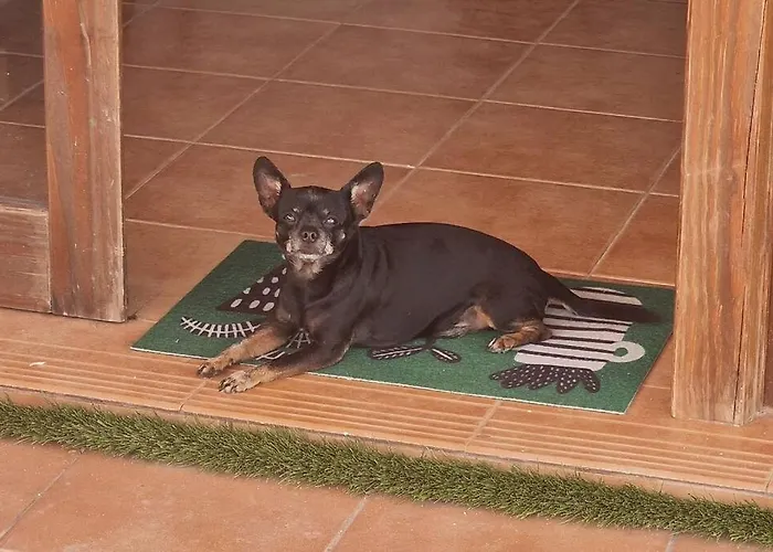 Naay Villa Playa Blanca (Lanzarote)